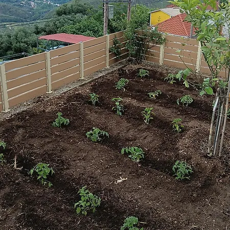 Сasa de vacaciones Ainos Kambitsata