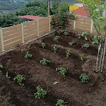 Nyaraló Ainos Kambitsata